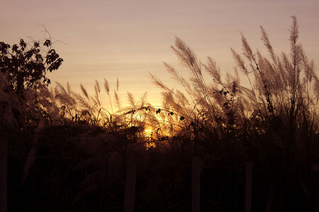 Bright orange and yellow colors sunset skyの写真素材