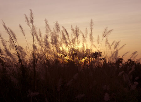 Bright orange and yellow colors sunset skyの写真素材