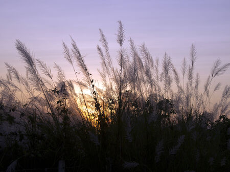 Bright orange and yellow colors sunset skyの写真素材