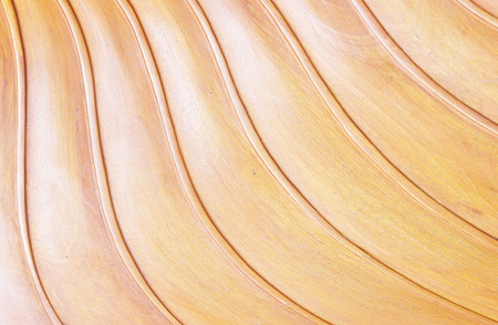 Abstract, Textured wooden panels on wall backgroundの写真素材