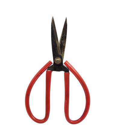 old red scissors. Object is isolated on white backgroundの写真素材