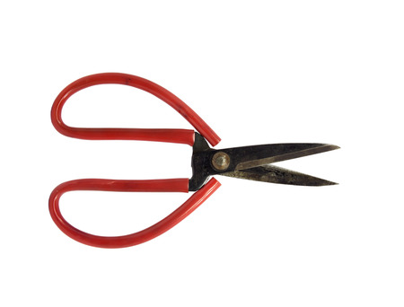 old red scissors. Object is isolated on white backgroundの写真素材