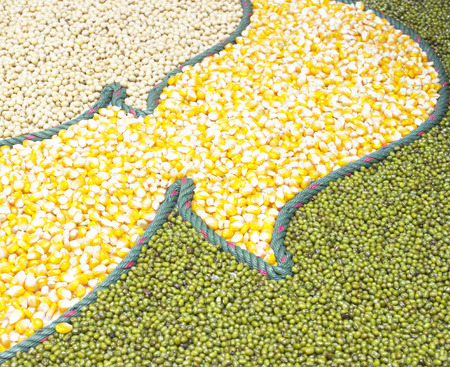 corn ,green beans, Legumes backgroundの写真素材