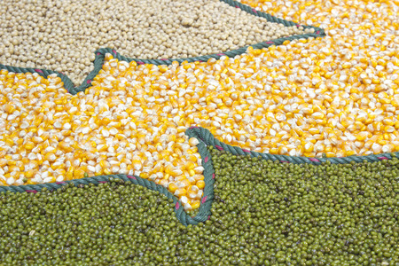 corn ,green beans, Legumes backgroundの写真素材