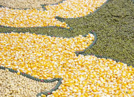 corn ,green beans, Legumes backgroundの写真素材