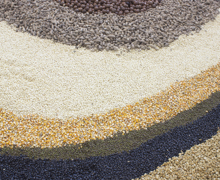 corn ,green beans, Legumes backgroundの写真素材