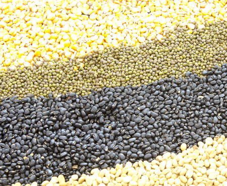 corn ,green beans, Legumes backgroundの写真素材