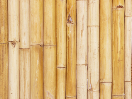 bamboo fence backgroundの写真素材