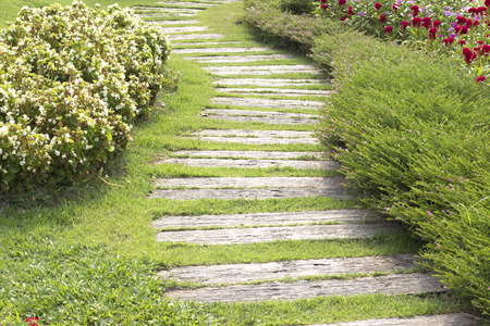 Stone walkway in garden ,Thailandの写真素材