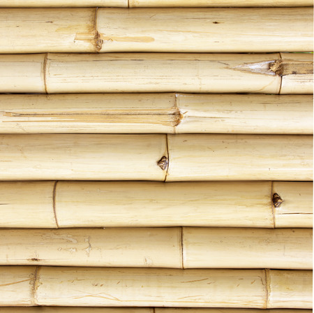 bamboo fence backgroundの写真素材