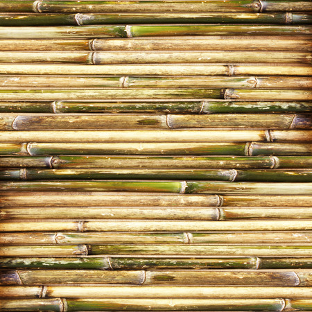 bamboo backgroundの写真素材