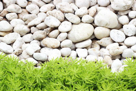 Sea stones background.の写真素材