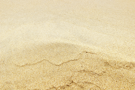 sand texture from sand beach textureの写真素材