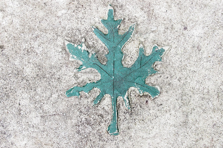 Marks of leaf on the concrete pavement.の写真素材