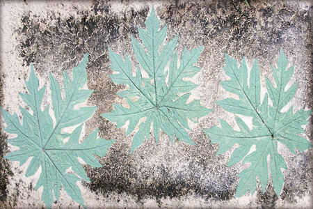 Marks of leaf on the concrete pavement.