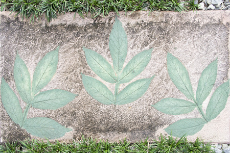 Marks of leaf on the concrete pavement.の写真素材