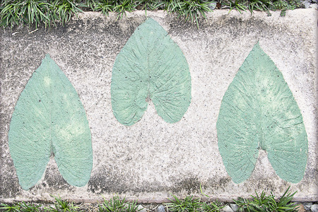 Marks of leaf on the concrete pavement.の写真素材
