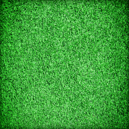 Beautiful green grass textureの写真素材