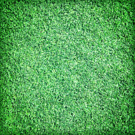 Beautiful green grass textureの写真素材
