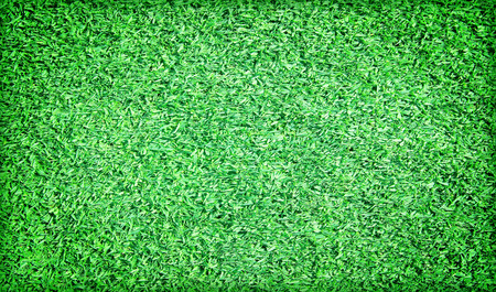 Beautiful green grass textureの写真素材
