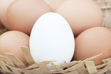 Eggsの写真素材