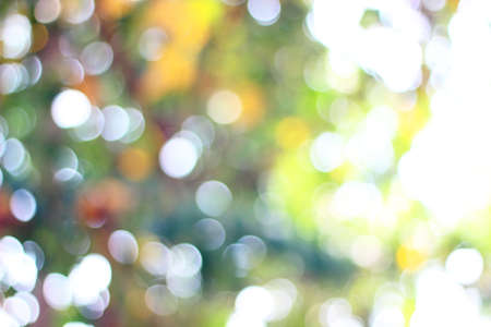 abstract nature blur background, defocused leaves, bokehの写真素材