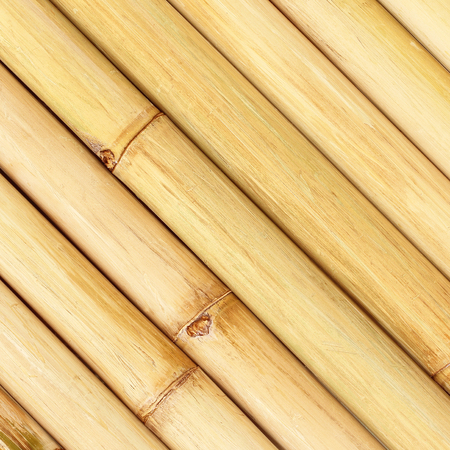 Old bamboo fence background; Old natural bamboo fence texture background