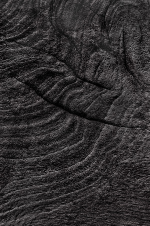 Black Wood texture backgroundの写真素材