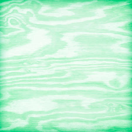 soft green wood plank texture for background.の写真素材
