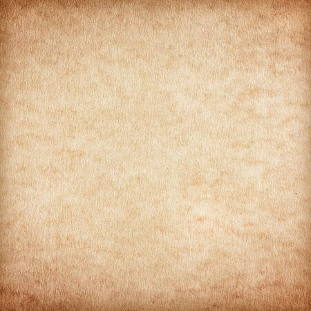 Old Paper texture. vintage paper background or texture; brown paper texture.の写真素材