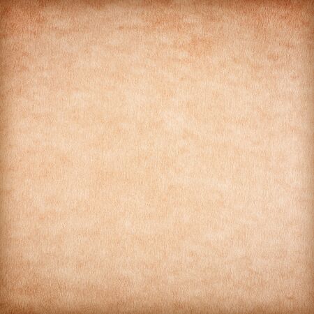 Old Paper texture. vintage paper background or texture; brown paper texture.の写真素材