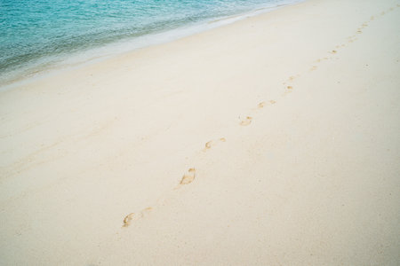 footprints on the beachの写真素材