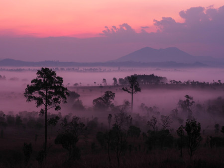 Sunrise in landscape with fog at Thung Salaeng Luang National Parkの写真素材