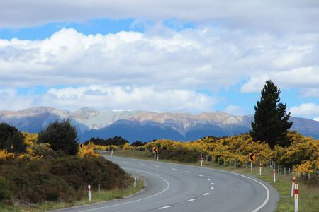 Asphalt road in New Zealand, with cloudy blue sky, moutains and yellow flowers.の写真素材