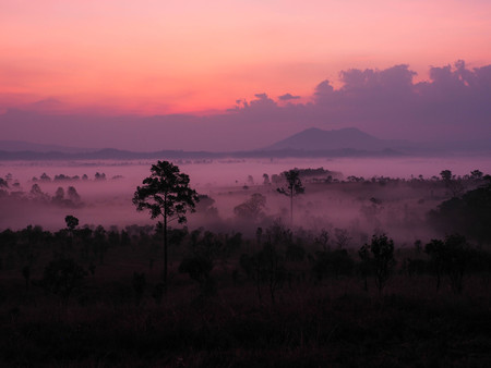 Sunrise in landscape with fog at Thung Salaeng Luang National Parkの写真素材