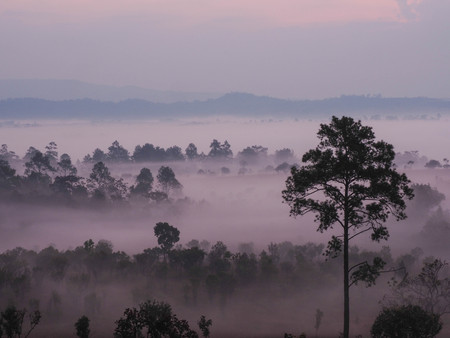 Sunrise in landscape with fog at Thung Salaeng Luang National Parkの写真素材