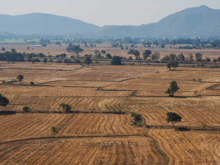 A view of agricultural field with blue skyの写真素材