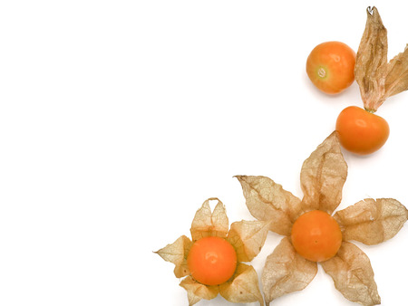 Fresh cape goosebery, physalis, on white backgroundの写真素材