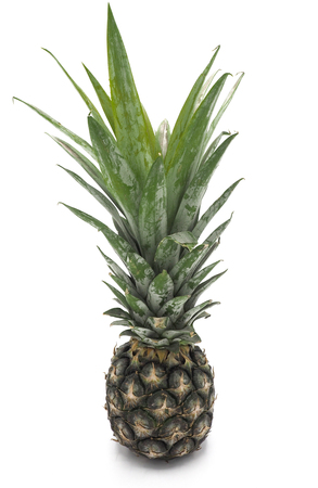Fresh pineapple fruit with slices on white backgroundの写真素材