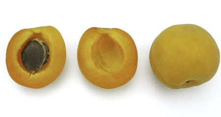 Sweet and healthy apricot on white background, fresh fruitsの写真素材