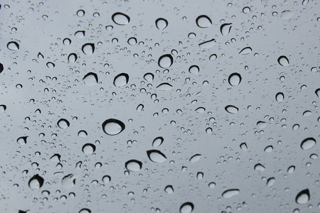 Rain dropの写真素材