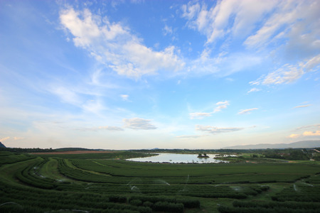 LandScapeの写真素材