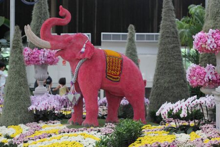 Chang, Thailand の写真素材