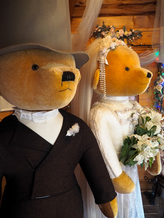Teddy bear's weddingのeditorial素材