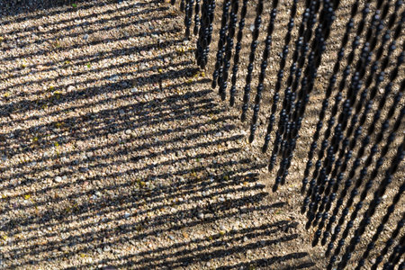 Shadow of curtainの写真素材