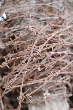 old barbed wire ,focus on center of frameの写真素材
