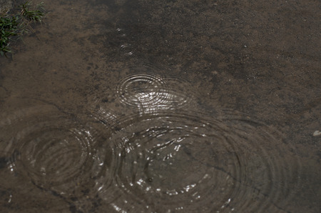 Reflections from water  after rainingの写真素材
