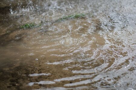 rain drop in rainy seasonの写真素材