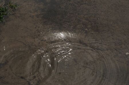 Reflections from water  after rainingの写真素材
