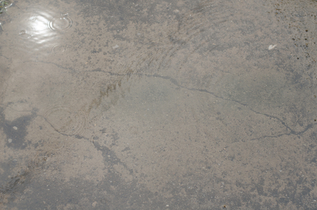 Reflections from water  after rainingの写真素材